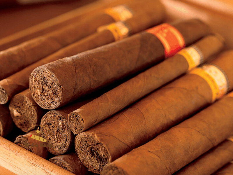 Xác định nguồn gốc xì gà